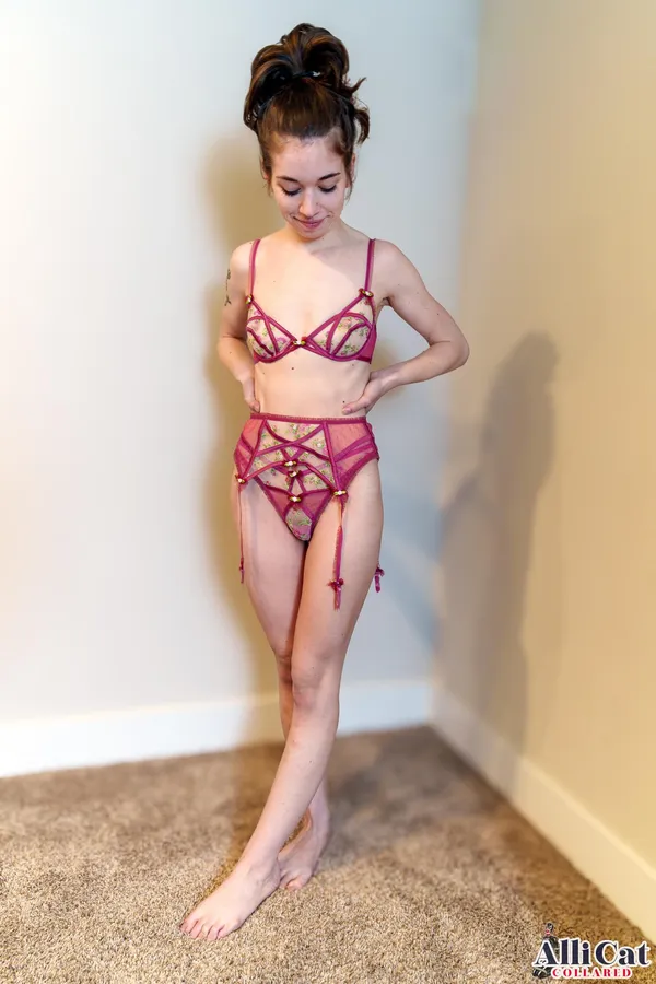 Alli Cat Collared's photo 2
